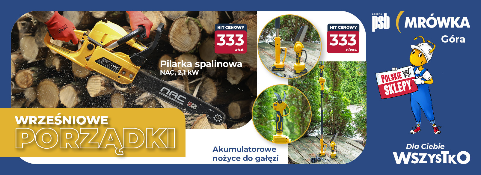 Grupa PSB mrowka Mrówka Góra