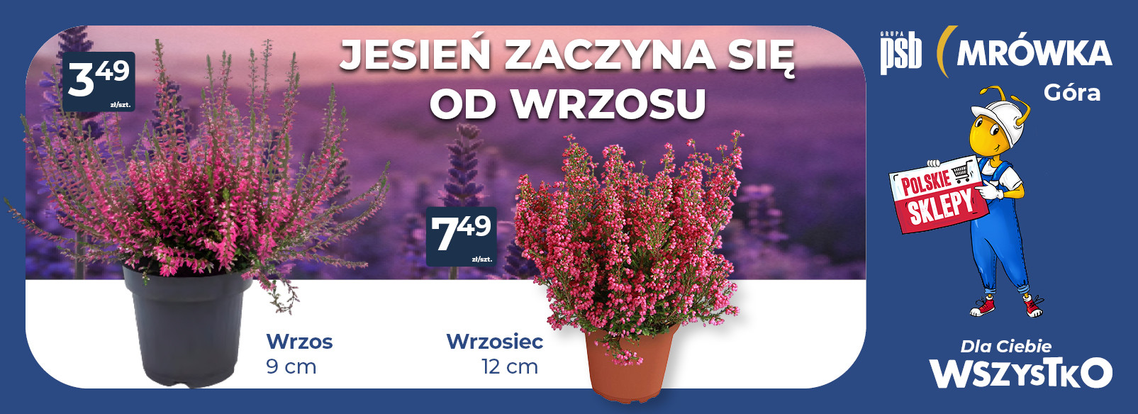 Grupa PSB mrowka Mrówka Góra