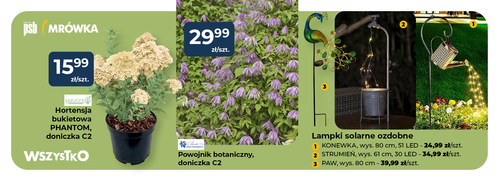 Grupa PSB mrowka Mrówka Góra